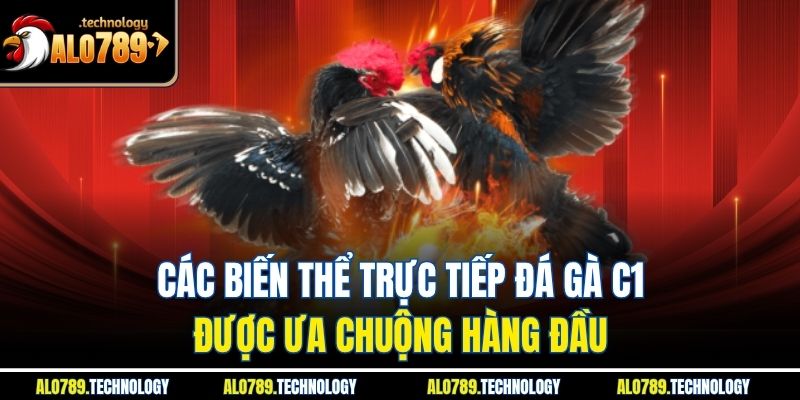 Trực Tiếp Đá Gà C1 | Những Biến Thể Hấp Dẫn Nhất Nên Biết 3 Các biến thể trực tiếp đá gà C1 được ưa chuộng hàng đầu