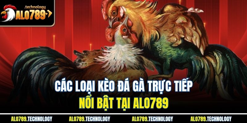 Kèo Đá Gà Trực Tiếp - Cơ Hội Làm Giàu Hấp Dẫn, Kịch Tính 3 Các loại kèo đá gà trực tiếp nổi bật tại Alo789