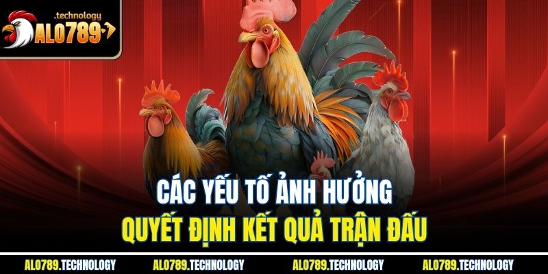 Đá Gà Thomo – Chiến Thuật Và Kỹ Thuật Đỉnh Cao Từ Alo789 4 Các yếu tố ảnh hưởng quyết định kết quả trận đấu