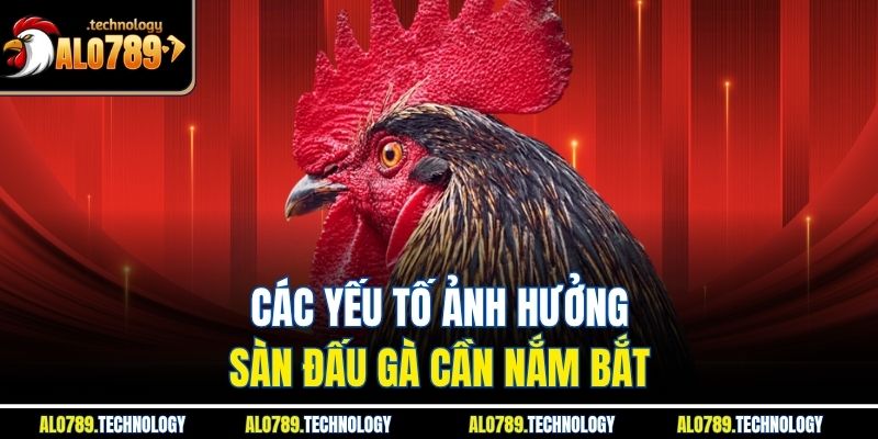 Các yếu tố ảnh hưởng sàn đấu gà cần nắm bắt