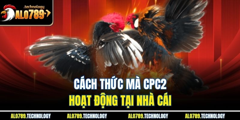 CPC2 Là Gì? Tìm Hiểu Ý Nghĩa CPC2 Trong Đá Gà Tại Alo789 3 Cách thức mà CPC2 hoạt động tại nhà cái
