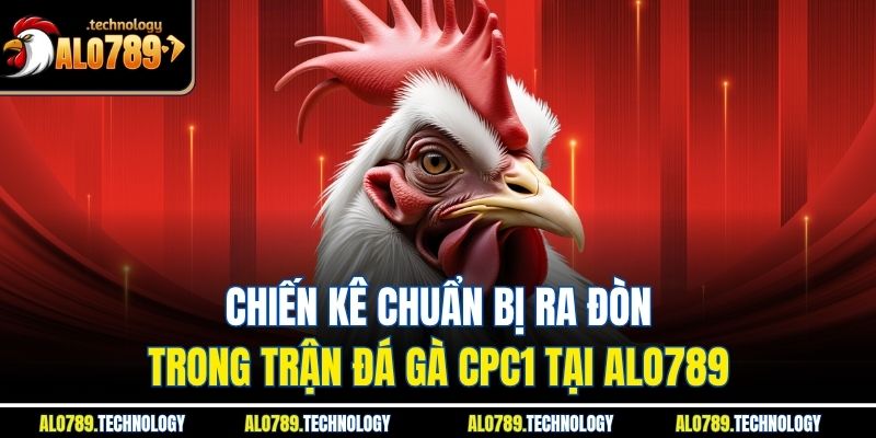 Đá gà CPC1: Chiến Thuật Đỉnh Tại Alo789 Để Tối Ưu Chiến Thắng 2 Chiến kê chuẩn bị ra đòn trong trận đá gà CPC1 tại alo789