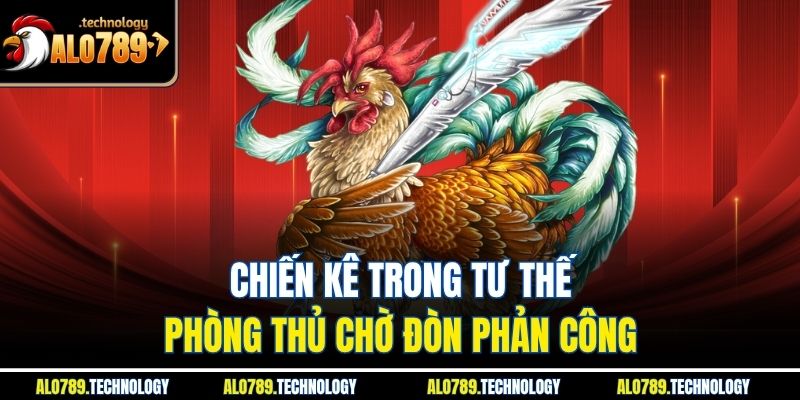 Đá gà CPC1: Chiến Thuật Đỉnh Tại Alo789 Để Tối Ưu Chiến Thắng 4 Chiến kê trong tư thế phòng thủ chờ đòn phản công