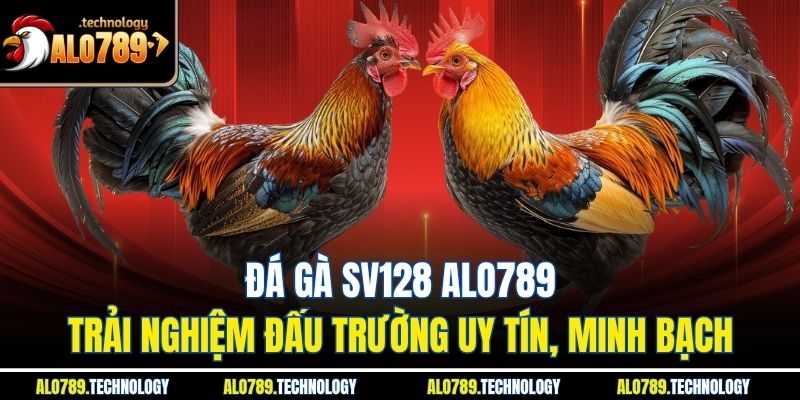 Đá Gà SV128 Alo789 – Trải Nghiệm Đấu Trường Uy Tín, Minh Bạch