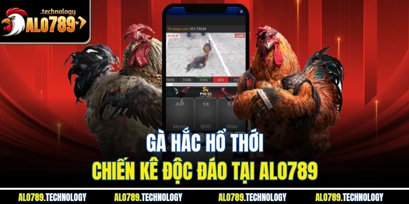 Gà Hắc Hổ Thới - Nơi Quy Tụ Nhiều Trận Đấu Đỉnh Cao 2 Gà hắc hổ thới – Chiến kê độc đáo tại Alo789