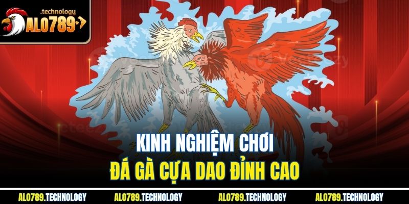 Đá Gà Cựa Dao – Trải Nghiệm Giải Trí Đỉnh Cao Không Giới Hạn 3 Kinh nghiệm chơi đá gà cựa dao đỉnh cao
