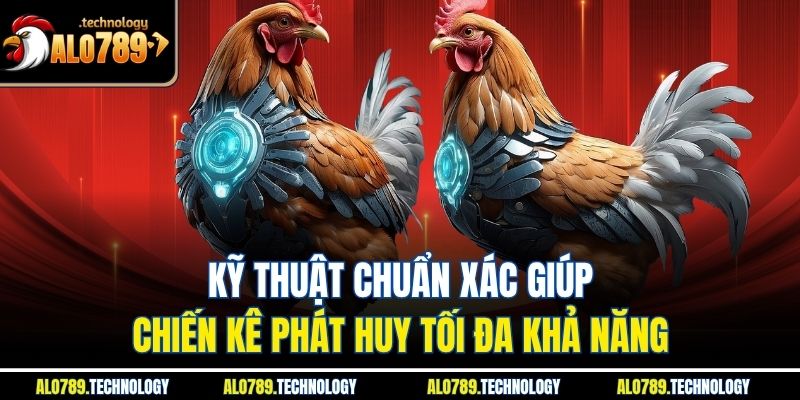 Đá Gà Thomo – Chiến Thuật Và Kỹ Thuật Đỉnh Cao Từ Alo789 3 Kỹ thuật chuẩn xác giúp chiến kê phát huy tối đa khả năng