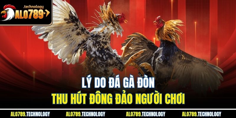 Khám Phá Đá Gà Đòn - Hình Thức Giải Trí Gay Cấn, Kịch Tính 4 Lý do đá gà đòn thu hút đông đảo người chơi