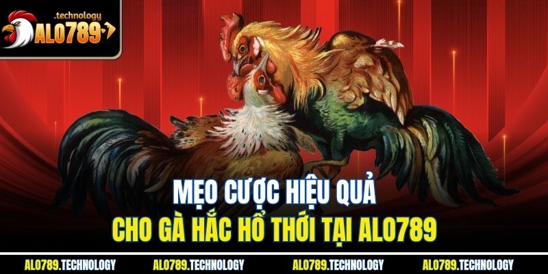 Gà Hắc Hổ Thới - Nơi Quy Tụ Nhiều Trận Đấu Đỉnh Cao 4 Mẹo cược hiệu quả cho gà hắc hổ thới tại Alo789
