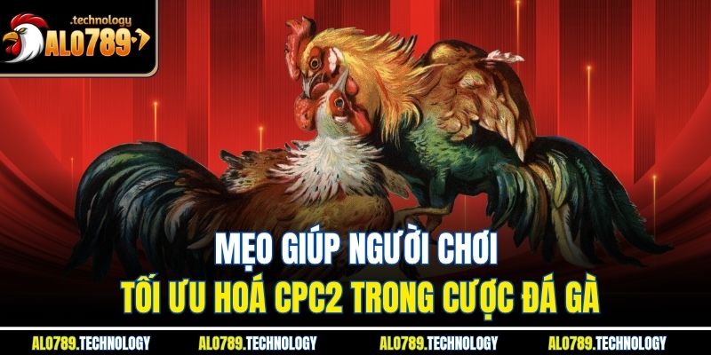 CPC2 Là Gì? Tìm Hiểu Ý Nghĩa CPC2 Trong Đá Gà Tại Alo789 4 Mẹo giúp người chơi tối ưu hoá CPC2 trong cược đá gà