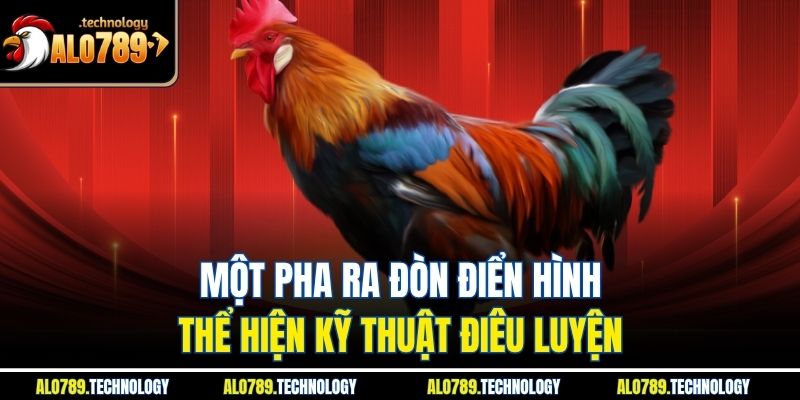 Một pha ra đòn điển hình thể hiện kỹ thuật điêu luyện