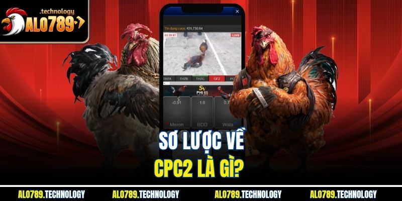 CPC2 Là Gì? Tìm Hiểu Ý Nghĩa CPC2 Trong Đá Gà Tại Alo789 2 Sơ lược về CPC2 là gì?