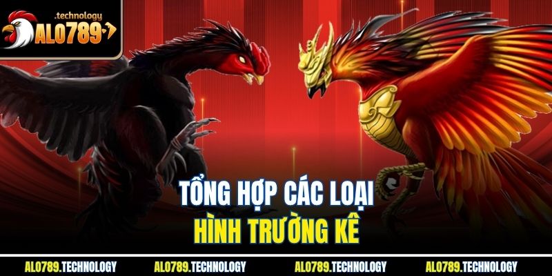 Tổng hợp các loại hình trường kê