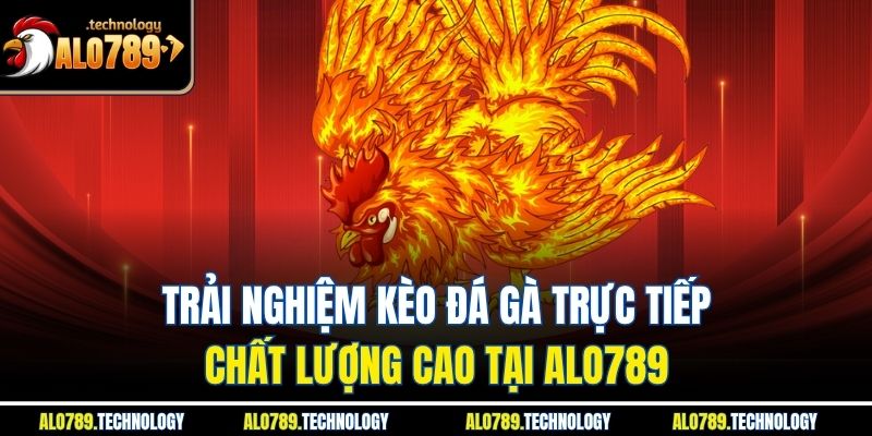 Kèo Đá Gà Trực Tiếp - Cơ Hội Làm Giàu Hấp Dẫn, Kịch Tính 2 Trải nghiệm kèo đá gà trực tiếp chất lượng cao tại Alo789