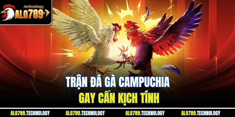 Trận đá gà Campuchia gay cấn kịch tính