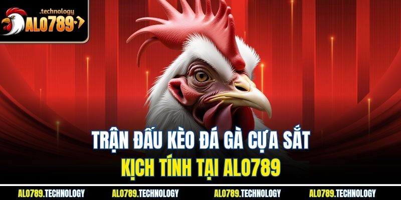 Trận đấu kèo đá gà cựa sắt kịch tính tại Alo789