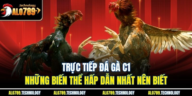 Trực Tiếp Đá Gà C1 | Những Biến Thể Hấp Dẫn Nhất Nên Biết