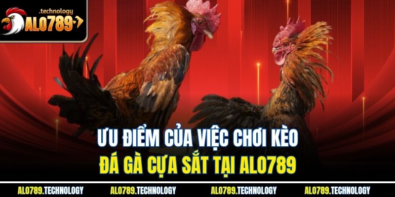 Ưu điểm của việc chơi kèo đá gà cựa sắt tại Alo789